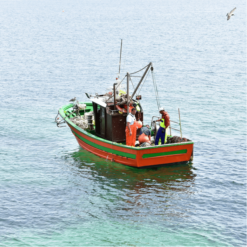 pescador